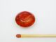 Schaumkoralle - Linse ~18 x 8 mm - poliert rot